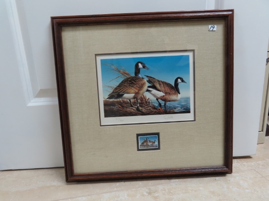 #1357/7800 Framed Print of 1981 Migratory Waterfowl Stamp, Giant "Banded" Canada Geese. $39 SHIP