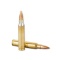 Twenty (20) 5.56 NATO Rounds for AR15, 62 GRAIN, NEW, NO RELOAD, BRASS.