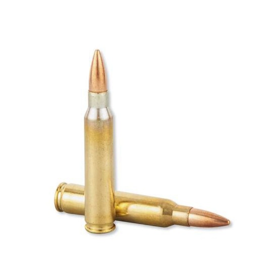 Twenty (20) 5.56 NATO Rounds for AR15, 62 GRAIN, NEW, NO RELOAD, BRASS.