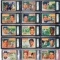 TWO HUNDRED FORTY (240) Signed 1956 Topps Baseball Cards,Partial Set (240/340). All Are Autographed!