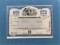 1990 One Share Playboy Enterprises Common Stock