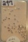 2.24CT T.W. LOOSE ROUND DIAMONDS (.03)