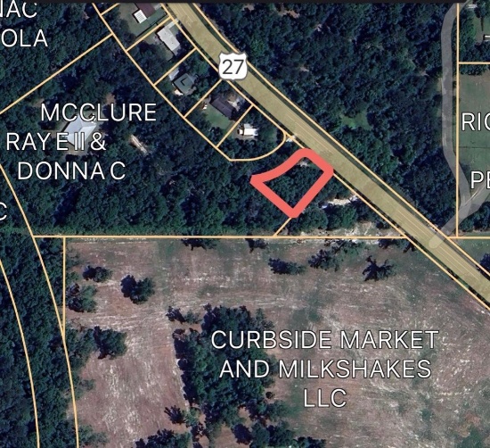 Vacant 0.33 acre lot - Paved Road Frontage on SR 45 - Archer, FL (adjoins Auction Lot 11)