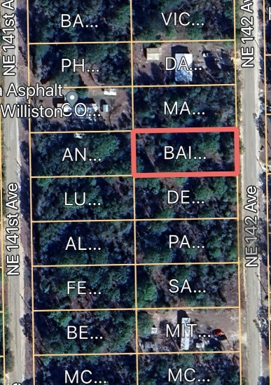 Vacant 0.30 acre lot - Williston, FL