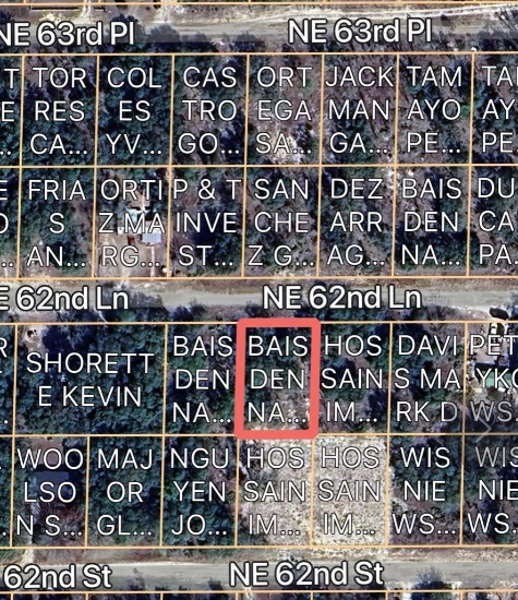 Vacant 0.24 acre lot in Oak Ridge Estates - Williston, FL (Adjoins Auction Lot 19)