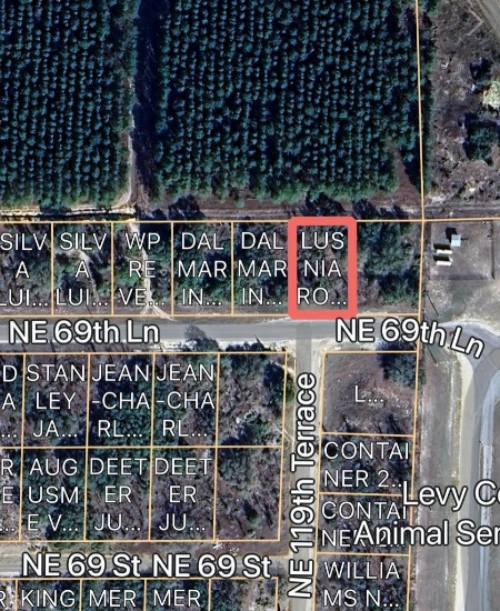 Vacant 0.23 acre lot in Oak Ridge Estates - Williston, FL