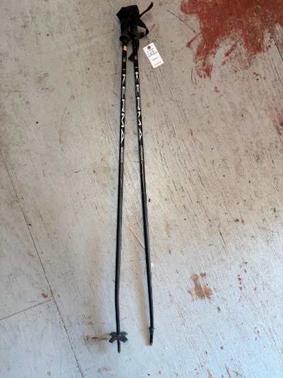 Ski poles