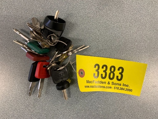 3383 Set of (24) Heavy Equipment Keys