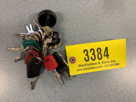 3384 Set of (24) Heavy Equipment Keys