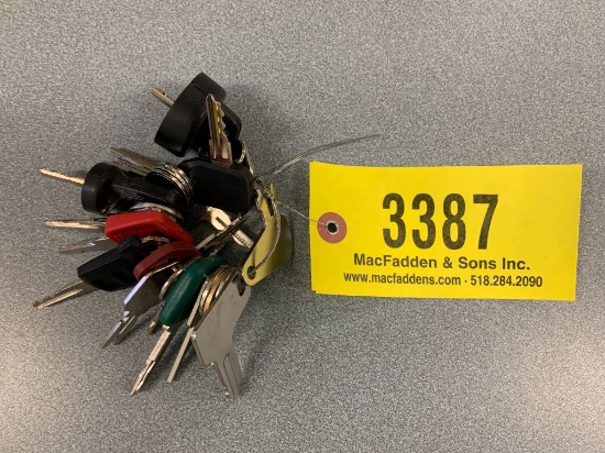 3387 Set of (24) Heavy Equipment Keys