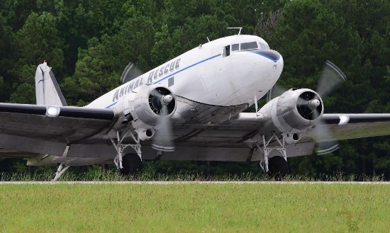 Your Chance to Own a Unique Piece of History - 1938 Douglas DC-3A Aircraft N143D
