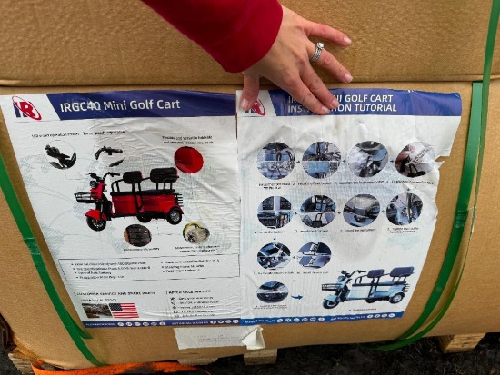 2123 New IRGC40 Mini Golf Cart/Tuk-Tuk