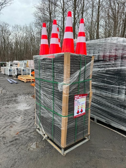 2231 (250) New Highway Safety Cones