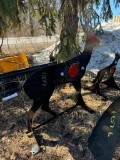 1077 3/8in AR500 Steel Deer Shooting Target