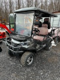 2110 New IRGC80 Golf Cart
