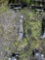 1229 Thumb