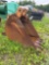 6349 Case Bucket