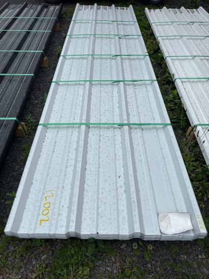 12002 (50) 26 Guage Painted R Panels 12' x 3' -White