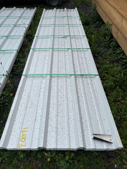 12003 (50) 26 Guage Painted R Panels 12' x 3' -White