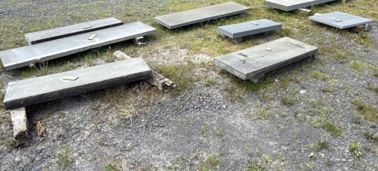 88 7 Assorted Bluestone Pieces- One Money
