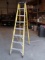 Green Bull 8ft fiberglass step ladder