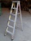 Green Bull 6ft fiberglass step ladder