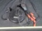 Bayco 801 30ft cord reel & Newport power tap