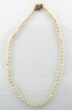 16 Inch Freshwater Pearl Necklace