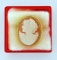 Antique Carved Shell Cameo Pin Set in 10 K Yellow Gold Frame, 1 Inch H