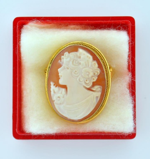 Antique Carved Shell Cameo Pin Set in 10 K Yellow Gold Frame, 1 Inch H