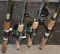 Lot of 4 Fishing Rods & Reels: