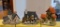 Lot of 3 David Winter Cottages; Vicarage, Hogs Head Beer House, and Ivy Cottage