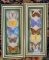 Pair of Framed Brazilian Butterflys Collection, 15 x 6.5 Inches Each