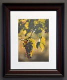 Artist Signed Ltd. Ed. Giclee Print, “Multicolor Tuscany, Italy 27/250 ” Grapes, Signed Lower Right