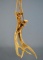 Pair of Deer Antlers Used For Attracting Deer