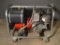 Dyna 11HP Generator with Briggs & Stratton Motor (model #:254427)