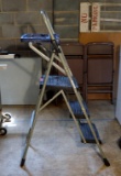 Werner 4 Ft Painter's Ladder