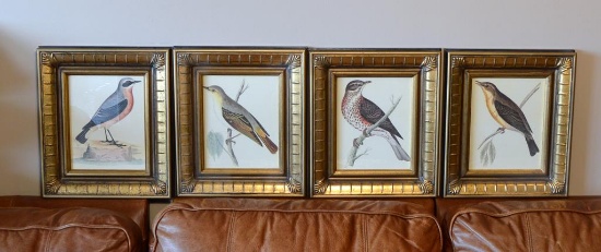 Lot of Four Bird Prints, Framed