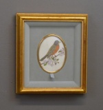Small Watercolor Of A Robin