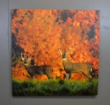 Pair of Whitetail Deer Giclee Photo Print On Stretchers