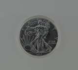 2017 US Silver Eagle Coin, 1 Oz. Fine Silver, In Plastic Case