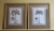 Two Framed Art Prints of Sub-Tropical Trees