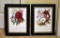 Pair Of Framed Floral Art Prints