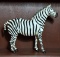 Leather Zebra