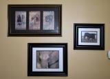 Three Framed Photo Art Prints Of African Wildlife
