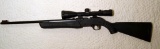Daisy PowerLine 901 .177 Caliber Dual Ammo Air Rifle / Pellet Gun / BB Gun,  w/ Nikon Scope