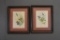 Set of 2 Vintage Framed Gould Hummingbird Prints A