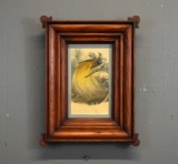 Antique Dark Oak Frame with Bird of Paradise Print