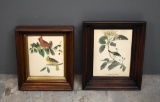 Set of 2 Vintage Bird Prints in Deep Mahogany Frames, Cardinal and Sparrow