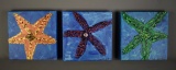 Set of 3 Acrylic on Canvas Starfish Paintings by N. Marshall